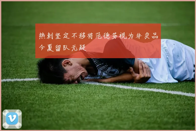 热刺坚定不移将范德芬视为非卖品今夏留队无疑