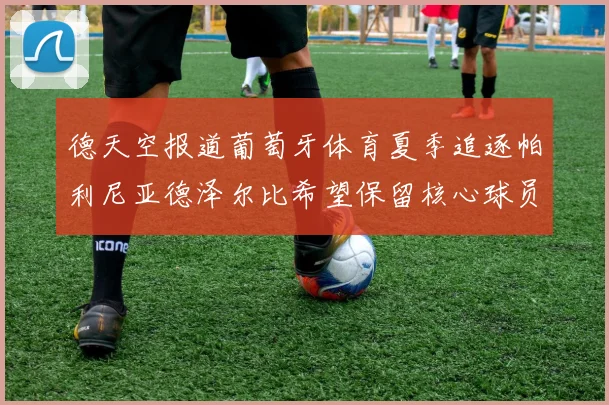 德天空报道葡萄牙体育夏季追逐帕利尼亚德泽尔比希望保留核心球员