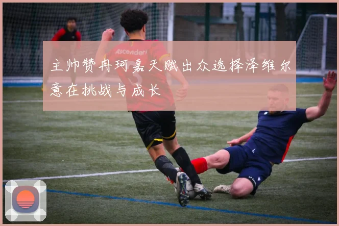 主帅赞冉珂嘉天赋出众选择泽维尔意在挑战与成长