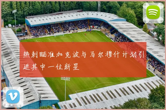热刺瞄准加克波与马尔穆什计划引进其中一位新星